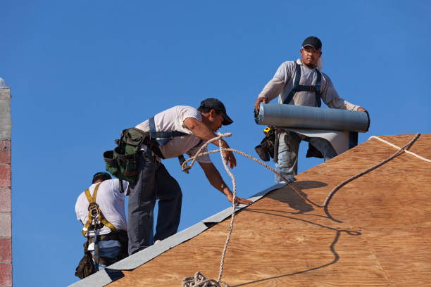 Sealant for Roof in Springfield, KY