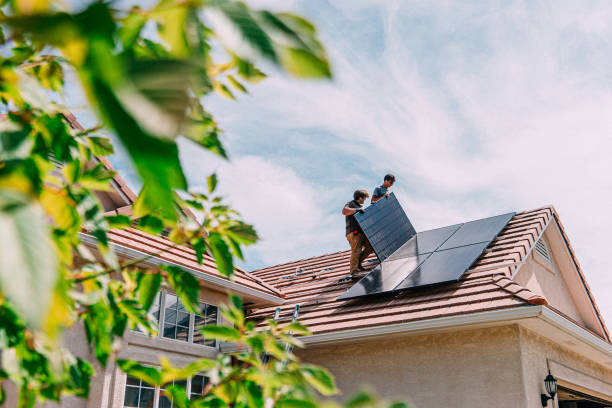 Best Roof Gutter Cleaning  in Springfield, KY