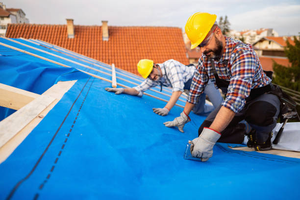 Best Gutter Installation and Roofing  in Springfield, KY