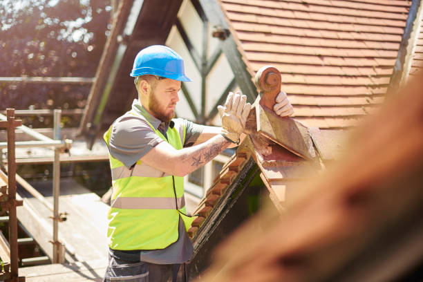 Best Metal Roofing Contractor  in Springfield, KY