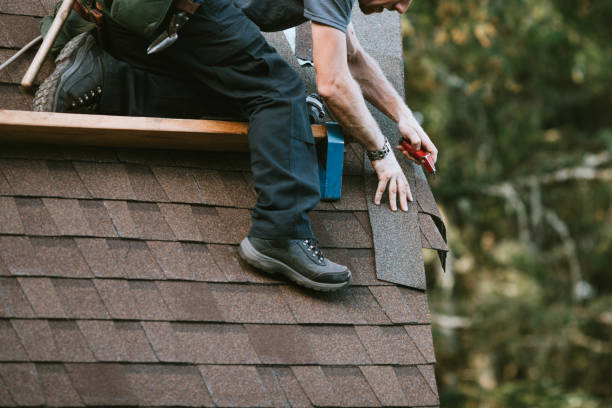 Best Roof Maintenance Services  in Springfield, KY